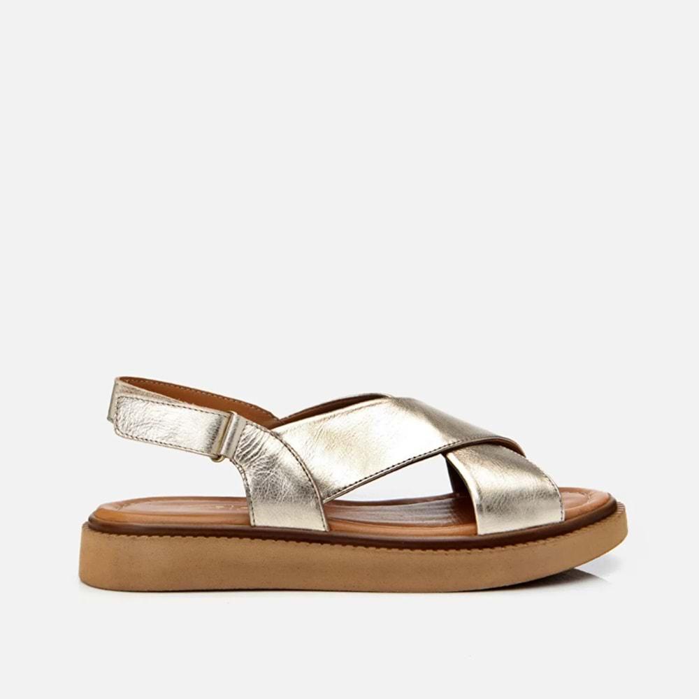 01SAH62662 - GOLD - 36 - ST001462G-62663