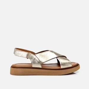 01SAH62662 - GOLD - 36 - ST001462G-62663
